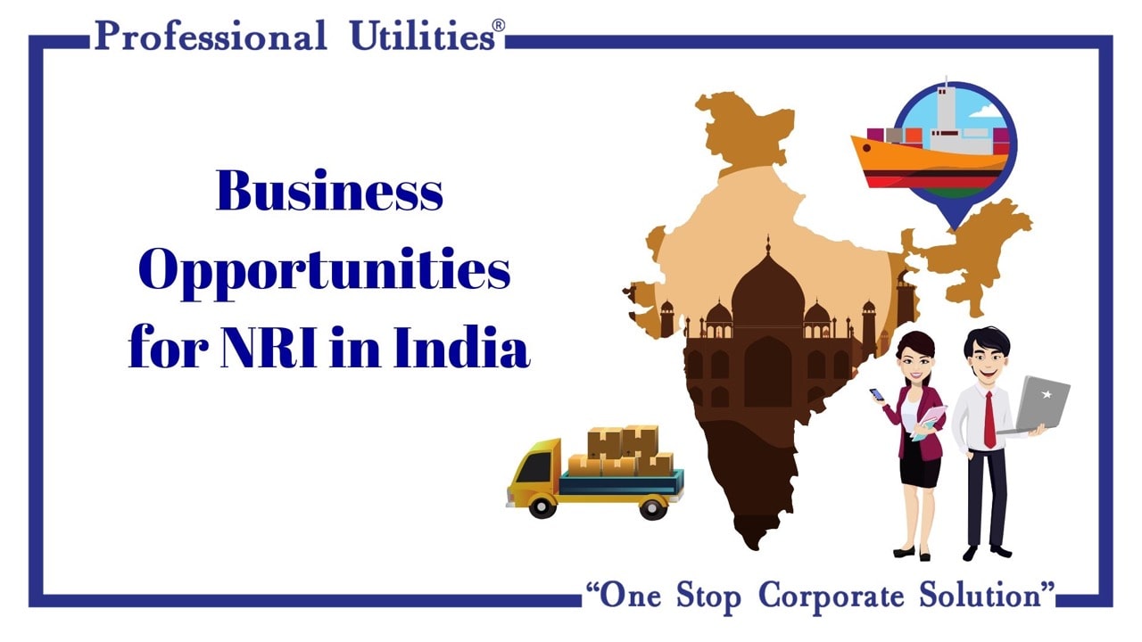 business opportunities for nri in India12-min