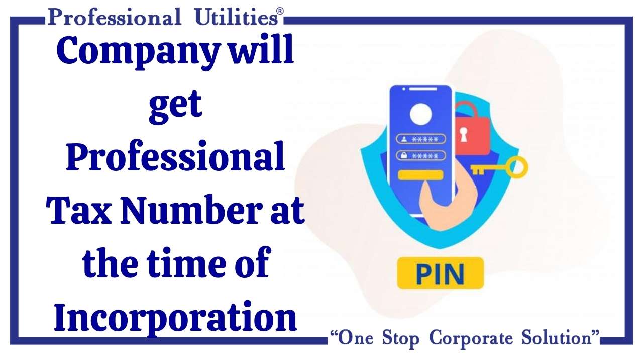 company-get-ptn-at-incorporation