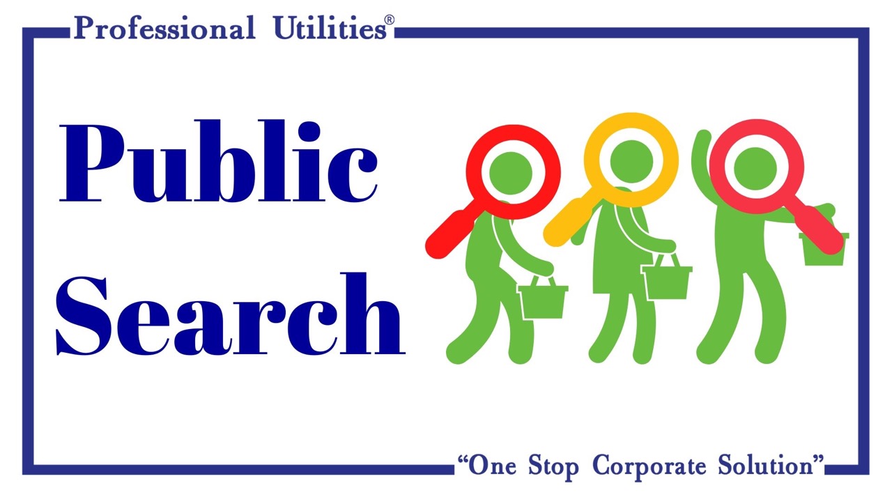 public search