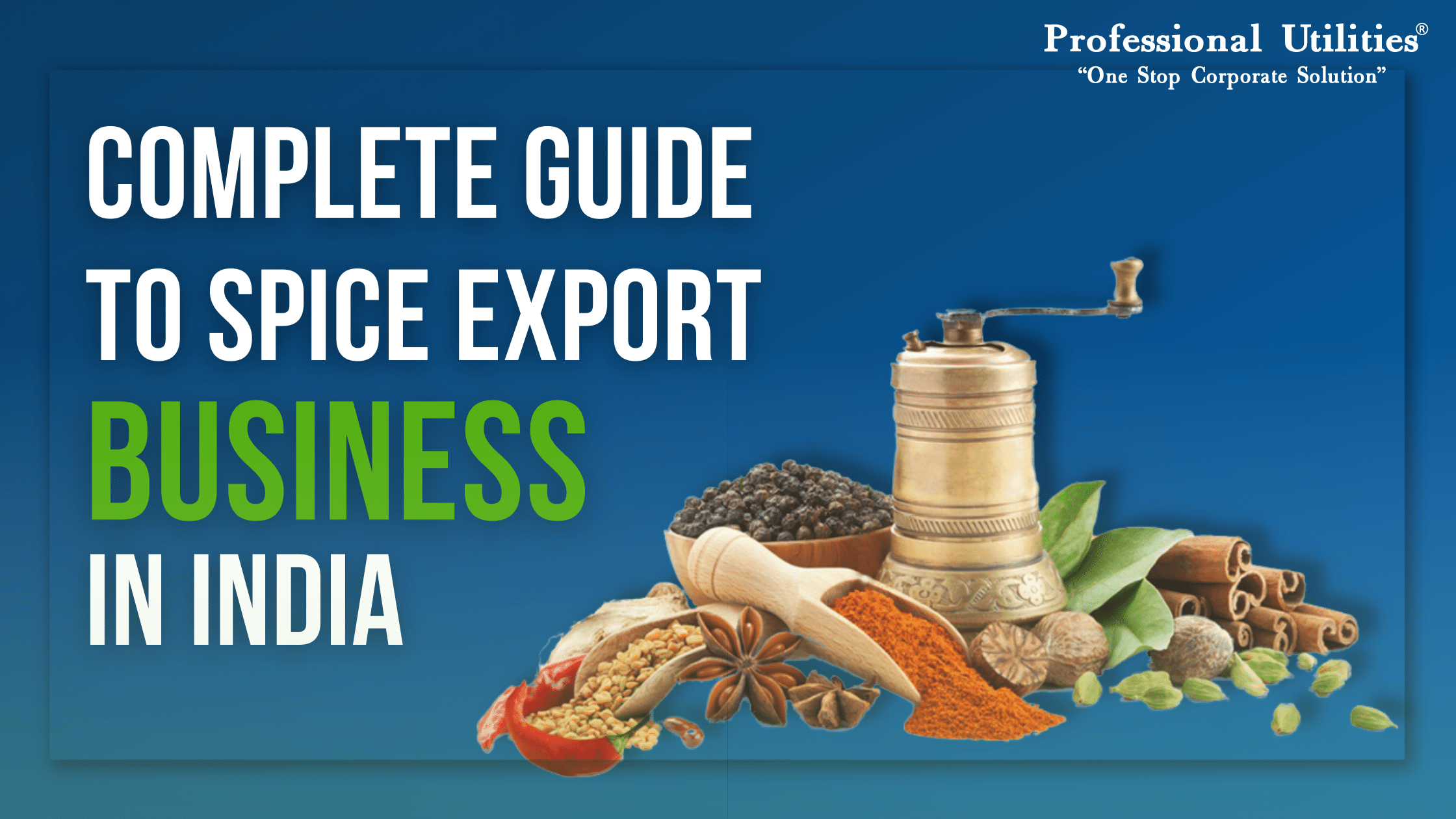 spice export business plan