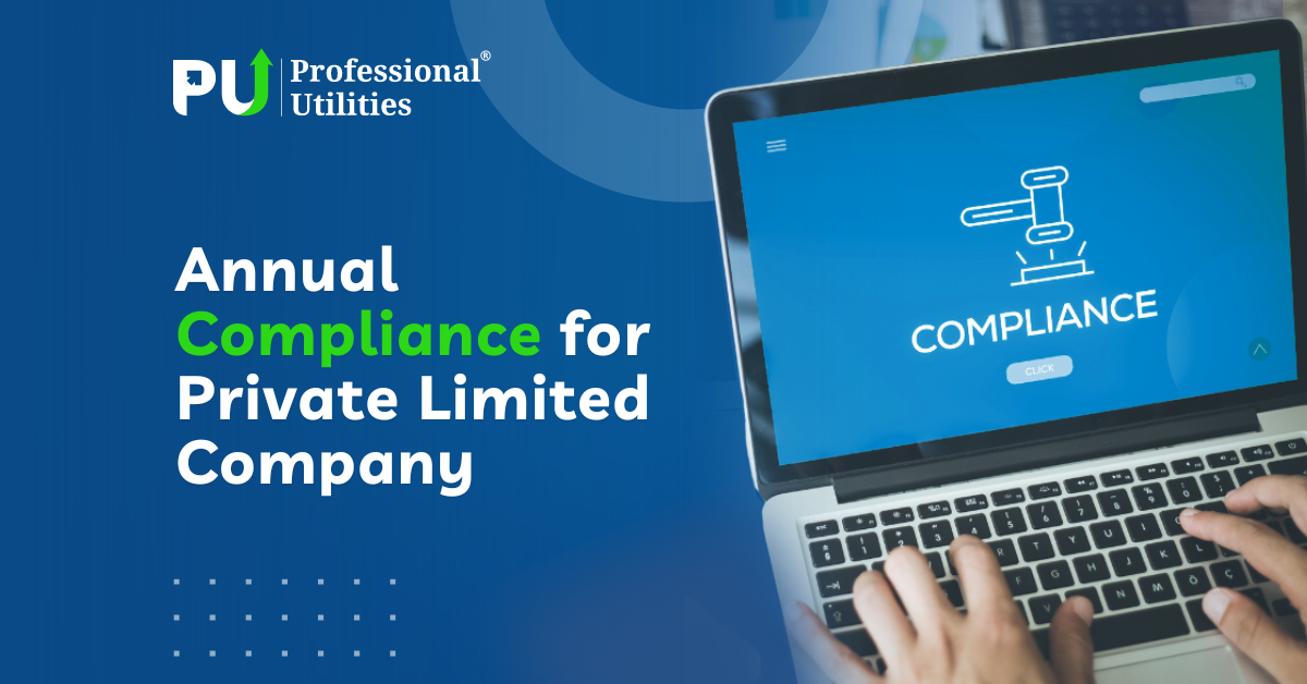 Annual Compliance For PVT LTD